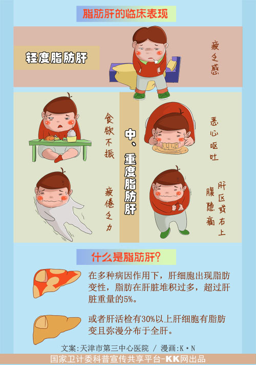 脂肪肝的防治-天津市第三中心医院-政务网站发布