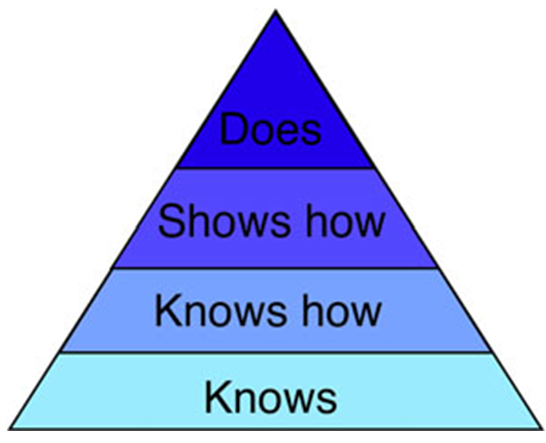 图1. millers金字塔.该图为测定受试者学习水平的评估方法分类.