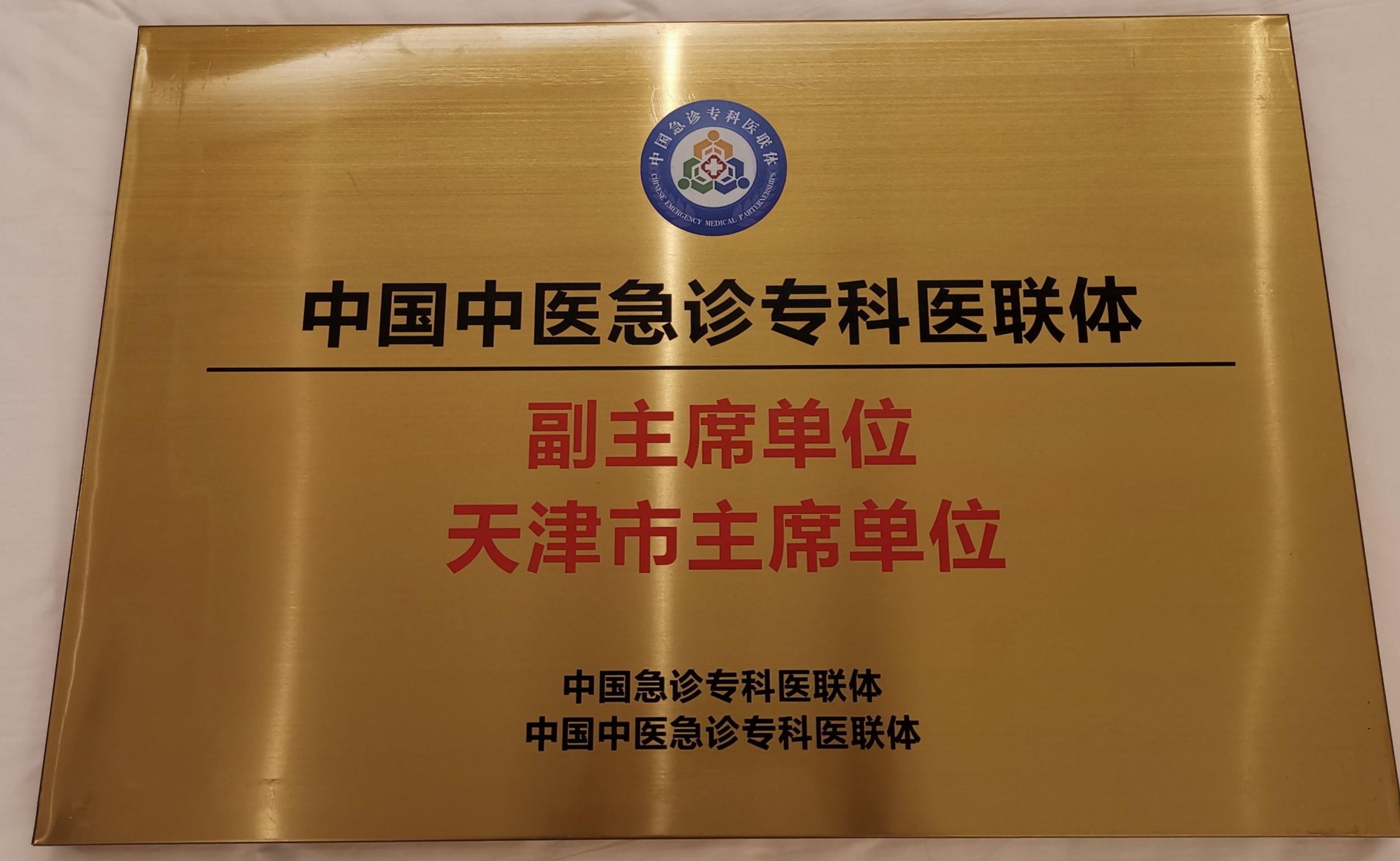 中国急诊专科医联体及中医急诊医联体成立